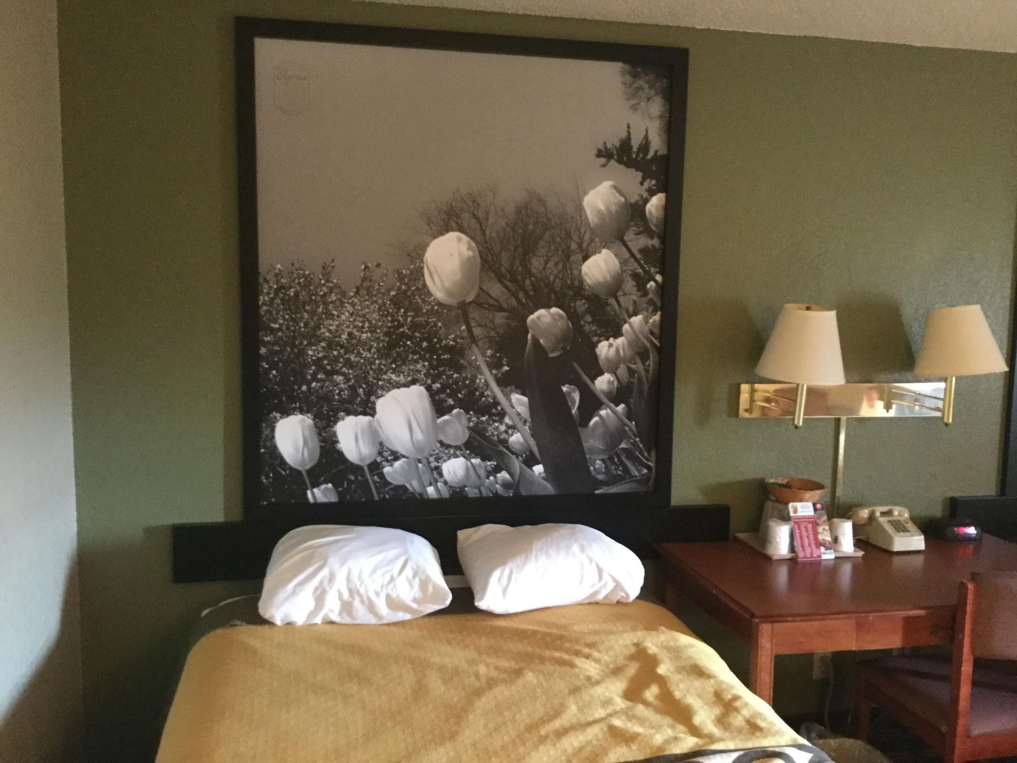 ซูเปอร์ 8 บาย วินด์แฮม ยังส์ทาวน์/ออสตินทาวน์ Hotel ภายนอก รูปภาพ